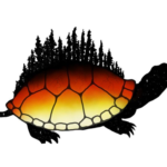 Turtle App